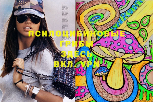 метамфетамин Алексеевка