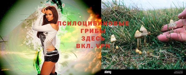 гашик Абаза