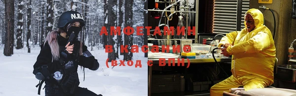 молекула духа Алексин